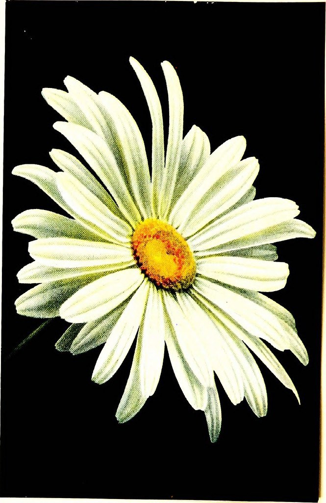 680880041534603264_0.jpg