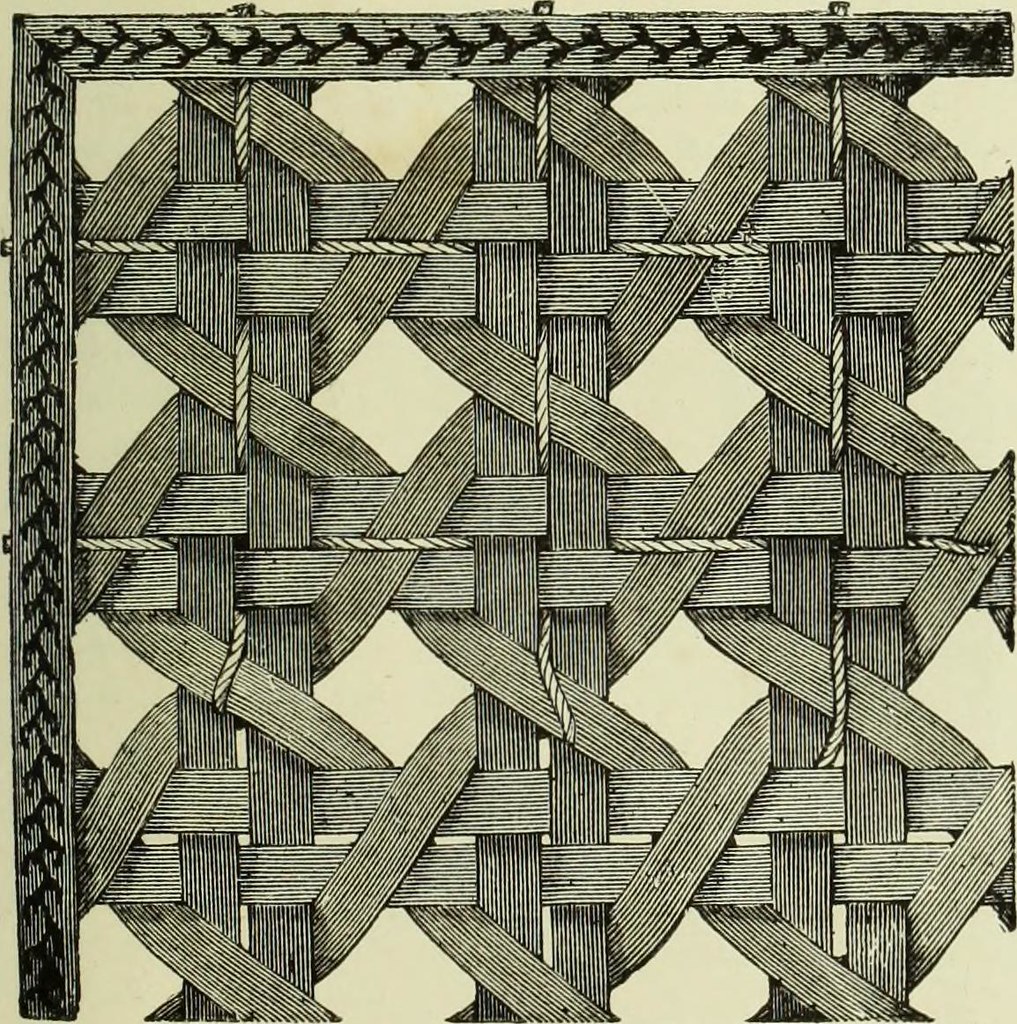 681174504634007552_0.jpg